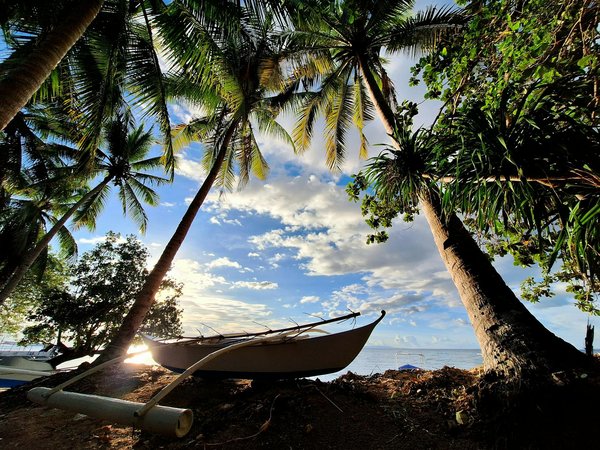 Discover Your Ideal UK Cruise with In-Depth Tours of Historic Victorian Mansions